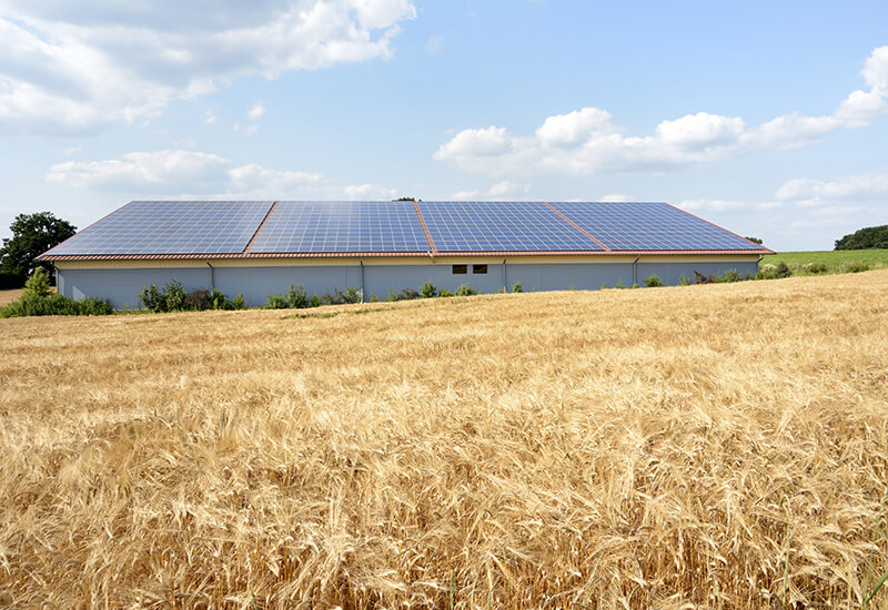 Bundesförderprogramm für mehr Energieeffizienz in Landwirtschaft und Gartenbau.